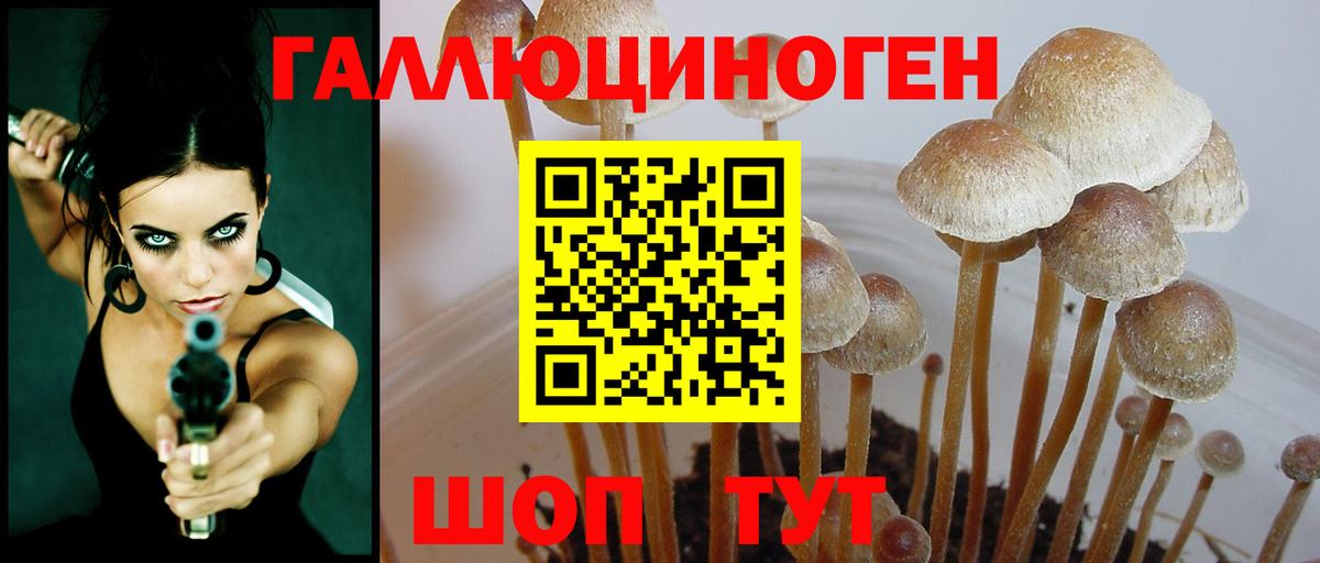 Галлюциногенные грибы GOLDEN TEACHER Воткинск